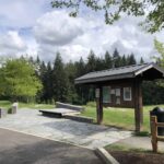 Local junk removal services near me