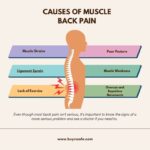 Back Muscle Relaxation Guide for Quick Pain Relief