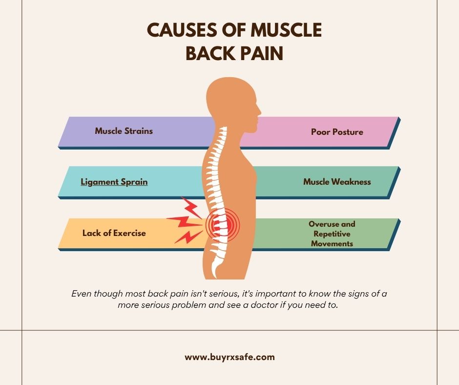 Back Muscle Relaxation Guide for Quick Pain Relief