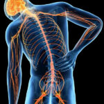 Gabatop 800mg, a gabapentin-based treatment designed to stabilize nerve signals and reduce nerve-related pain.