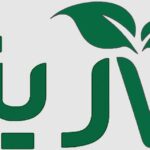 سبزیتو؛ راهنمایی برای زندگی پایدار، سالم و آگاهانه